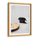 Pug negro curioso | Cuadro decorativo de Canvas Lab