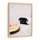Pug negro curioso | Cuadro decorativo de Canvas Lab