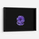 Reflejo morado | Cuadro decorativo de Canvas Lab