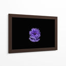 Reflejo morado | Cuadro decorativo de Canvas Lab