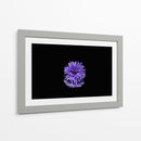 Reflejo morado | Cuadro decorativo de Canvas Lab
