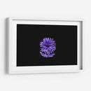 Reflejo morado | Cuadro decorativo de Canvas Lab