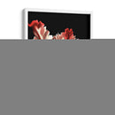 Vibrante Tulipanes II - Ethan Harper | Cuadro decorativo de Canvas Lab