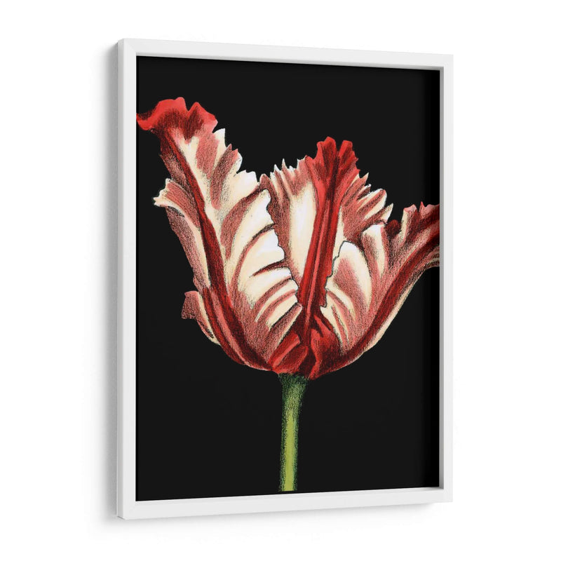 Vibrante Tulipanes II - Ethan Harper | Cuadro decorativo de Canvas Lab