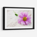 Rocío sobre una flor | Cuadro decorativo de Canvas Lab