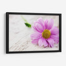 Rocío sobre una flor | Cuadro decorativo de Canvas Lab