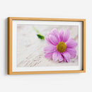 Rocío sobre una flor | Cuadro decorativo de Canvas Lab