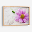 Rocío sobre una flor | Cuadro decorativo de Canvas Lab