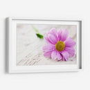 Rocío sobre una flor | Cuadro decorativo de Canvas Lab