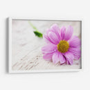 Rocío sobre una flor | Cuadro decorativo de Canvas Lab