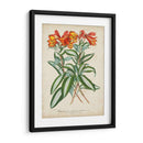 Matriz Tropical III - Horto Van Houtteano | Cuadro decorativo de Canvas Lab