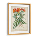 Matriz Tropical III - Horto Van Houtteano | Cuadro decorativo de Canvas Lab