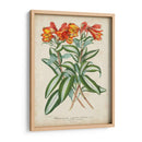 Matriz Tropical III - Horto Van Houtteano | Cuadro decorativo de Canvas Lab