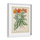 Matriz Tropical III - Horto Van Houtteano | Cuadro decorativo de Canvas Lab