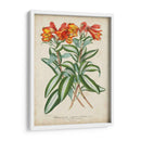 Matriz Tropical III - Horto Van Houtteano | Cuadro decorativo de Canvas Lab