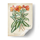 Matriz Tropical III - Horto Van Houtteano | Cuadro decorativo de Canvas Lab