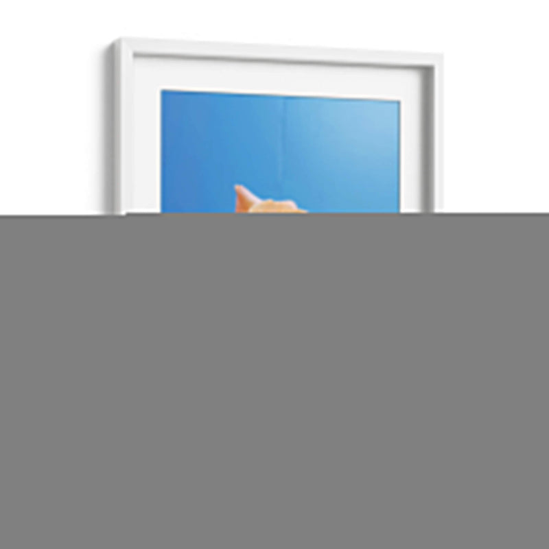 Rosa de durazno | Cuadro decorativo de Canvas Lab