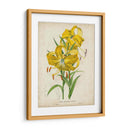 Matriz Tropical IV - Horto Van Houtteano | Cuadro decorativo de Canvas Lab