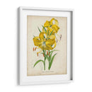 Matriz Tropical IV - Horto Van Houtteano | Cuadro decorativo de Canvas Lab