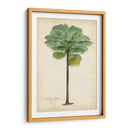 Palma Del Trópico II - Horto Van Houtteano | Cuadro decorativo de Canvas Lab