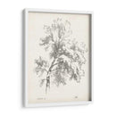 Estudio Fresno | Cuadro decorativo de Canvas Lab