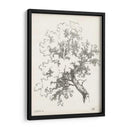 Estudio Del Árbol De Roble | Cuadro decorativo de Canvas Lab