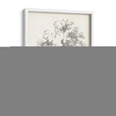 Estudio Del Árbol De Abedul | Cuadro decorativo de Canvas Lab