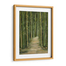 Bosque De Bambú - Beverly Crawford | Cuadro decorativo de Canvas Lab