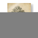 El Elm - George Barnard | Cuadro decorativo de Canvas Lab