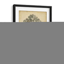 El Sycamore - George Barnard | Cuadro decorativo de Canvas Lab