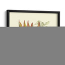 Ave Del Paraíso II - Sydenham Edwards | Cuadro decorativo de Canvas Lab