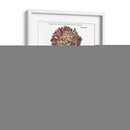 Tinted Floral IV - Basilius Besler | Cuadro decorativo de Canvas Lab