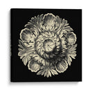 Negro Y Tan Rosette III - Vision Studio | Cuadro decorativo de Canvas Lab