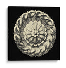 Negro Y Tan Rosette IV - Vision Studio | Cuadro decorativo de Canvas Lab