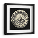 Negro Y Tan Rosette IV - Vision Studio | Cuadro decorativo de Canvas Lab