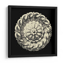 Negro Y Tan Rosette IV - Vision Studio | Cuadro decorativo de Canvas Lab