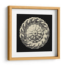 Negro Y Tan Rosette IV - Vision Studio | Cuadro decorativo de Canvas Lab