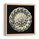 Negro Y Tan Rosette IV - Vision Studio | Cuadro decorativo de Canvas Lab
