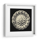Negro Y Tan Rosette IV - Vision Studio | Cuadro decorativo de Canvas Lab