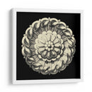 Negro Y Tan Rosette IV - Vision Studio | Cuadro decorativo de Canvas Lab