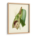 Flora Exótica I - Vision Studio | Cuadro decorativo de Canvas Lab