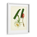 Flora Exótica II - Vision Studio | Cuadro decorativo de Canvas Lab