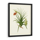 Flora Exótica III - Vision Studio | Cuadro decorativo de Canvas Lab
