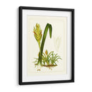 Flora Exótica IV - Vision Studio | Cuadro decorativo de Canvas Lab