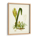 Flora Exótica IV - Vision Studio | Cuadro decorativo de Canvas Lab