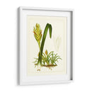 Flora Exótica IV - Vision Studio | Cuadro decorativo de Canvas Lab