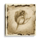 Impresión Floral I - Ethan Harper | Cuadro decorativo de Canvas Lab