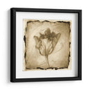 Impresión Floral II - Ethan Harper | Cuadro decorativo de Canvas Lab