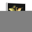 Aloe Dramática II - Basilius Besler | Cuadro decorativo de Canvas Lab