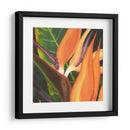 Ave Del Paraíso Del Azulejo I - Jason Higby | Cuadro decorativo de Canvas Lab